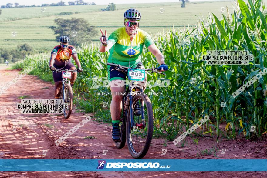 Circuito AEJ MTB 2023