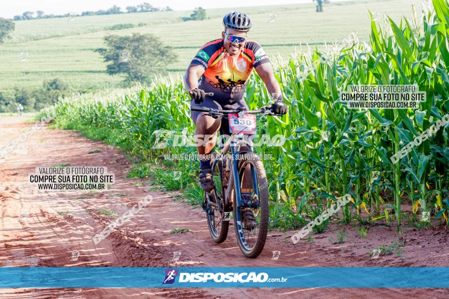 Circuito AEJ MTB 2023