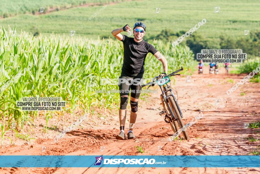 Circuito AEJ MTB 2023