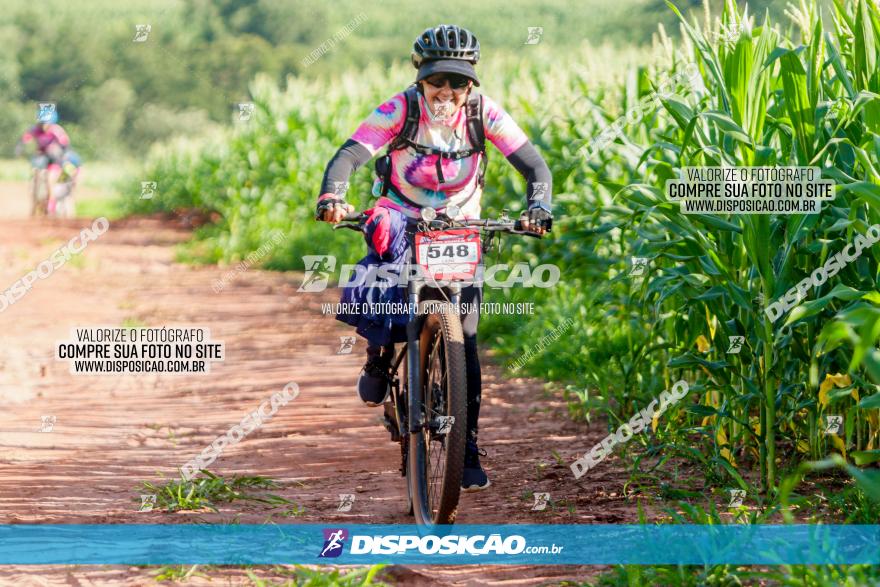 Circuito AEJ MTB 2023