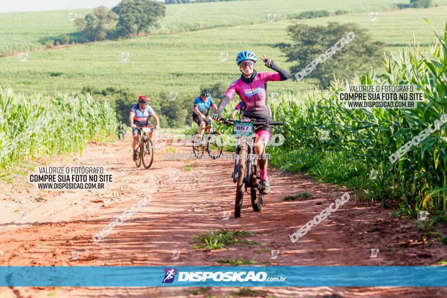 Circuito AEJ MTB 2023