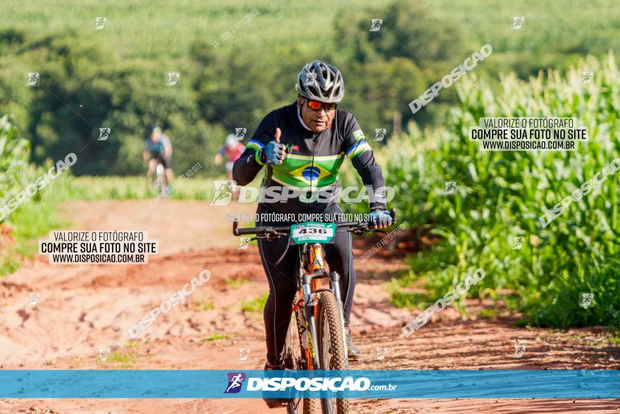 Circuito AEJ MTB 2023