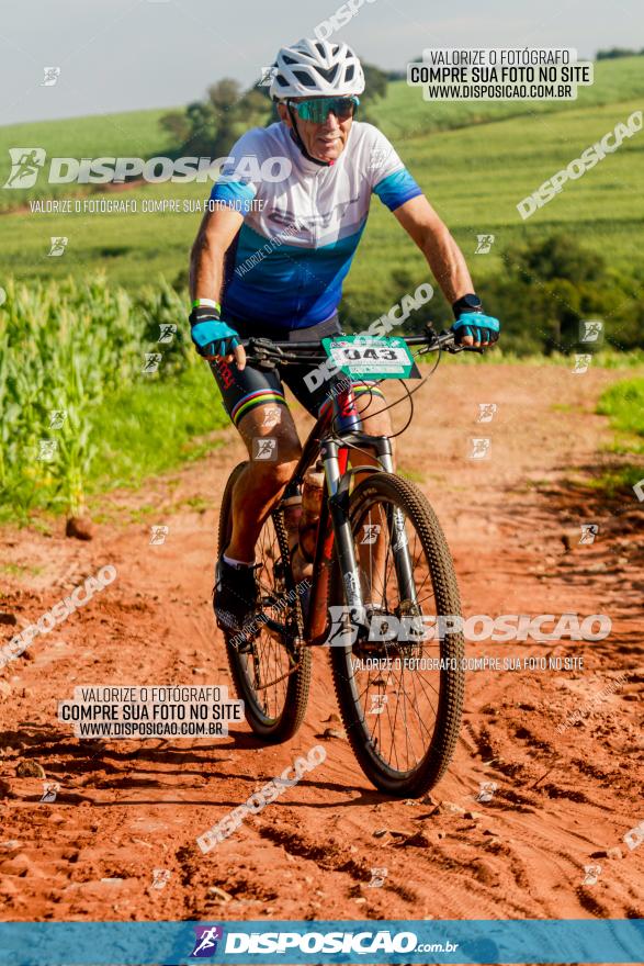 Circuito AEJ MTB 2023