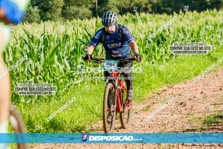 Circuito AEJ MTB 2023