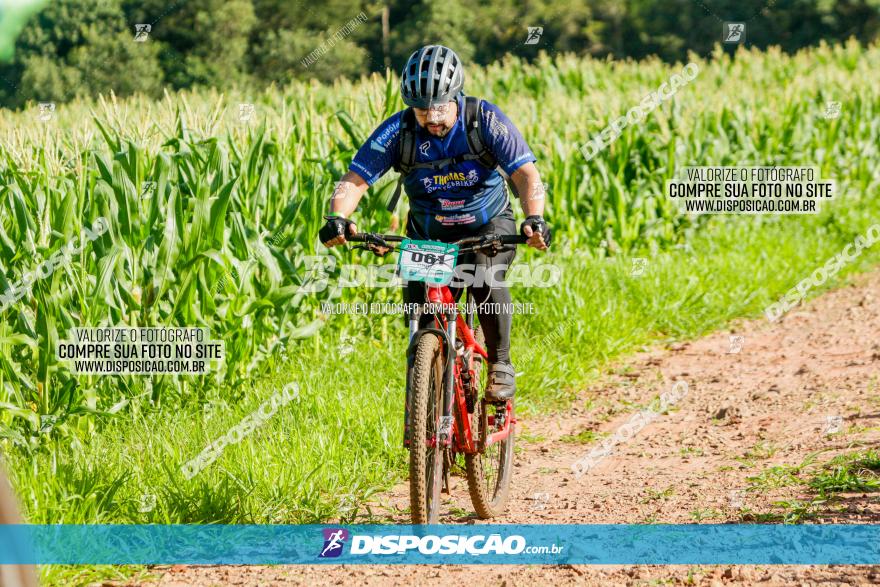 Circuito AEJ MTB 2023