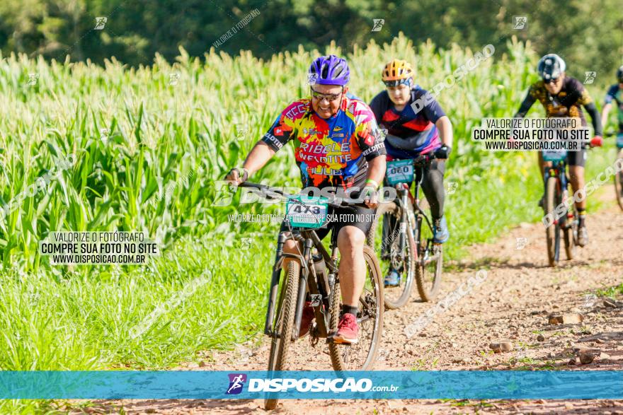 Circuito AEJ MTB 2023