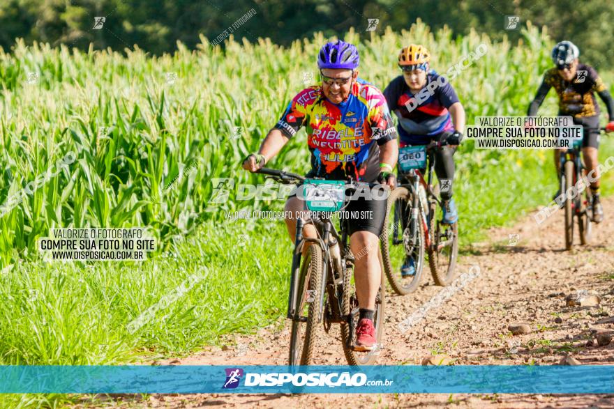 Circuito AEJ MTB 2023