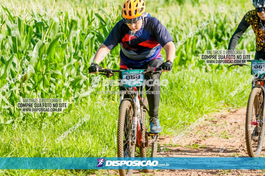 Circuito AEJ MTB 2023