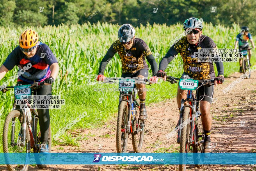 Circuito AEJ MTB 2023