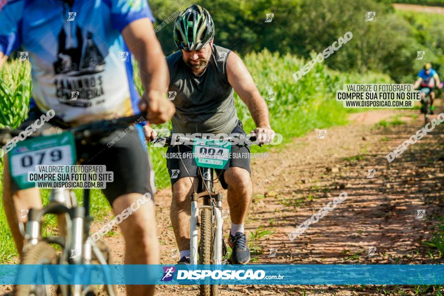 Circuito AEJ MTB 2023