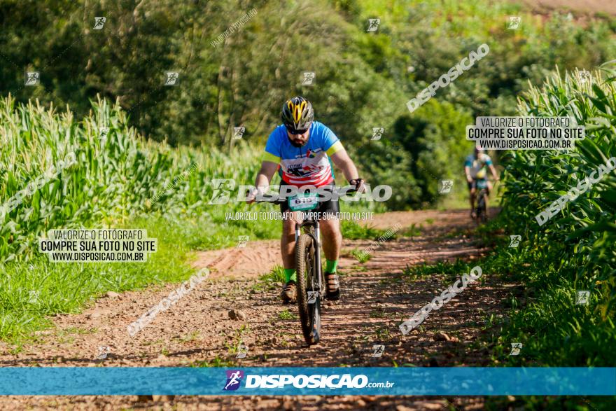 Circuito AEJ MTB 2023