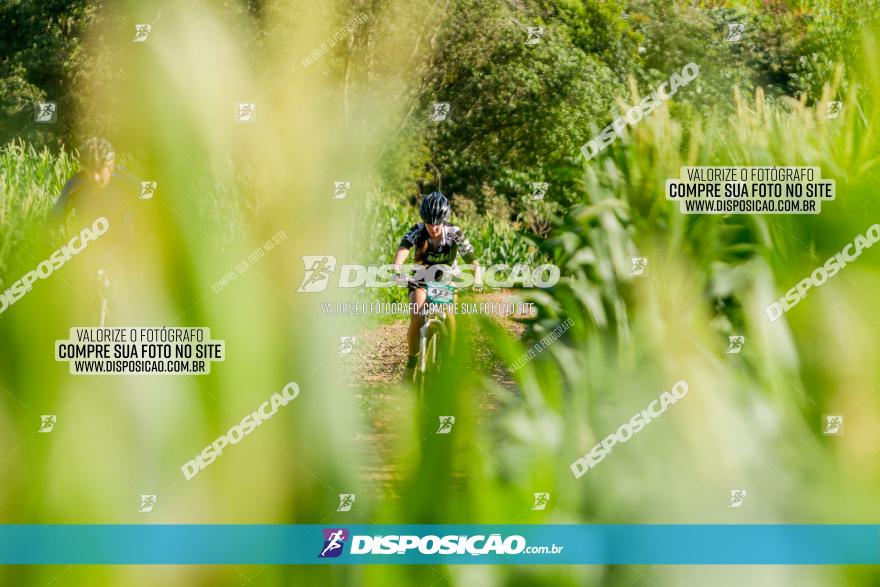 Circuito AEJ MTB 2023