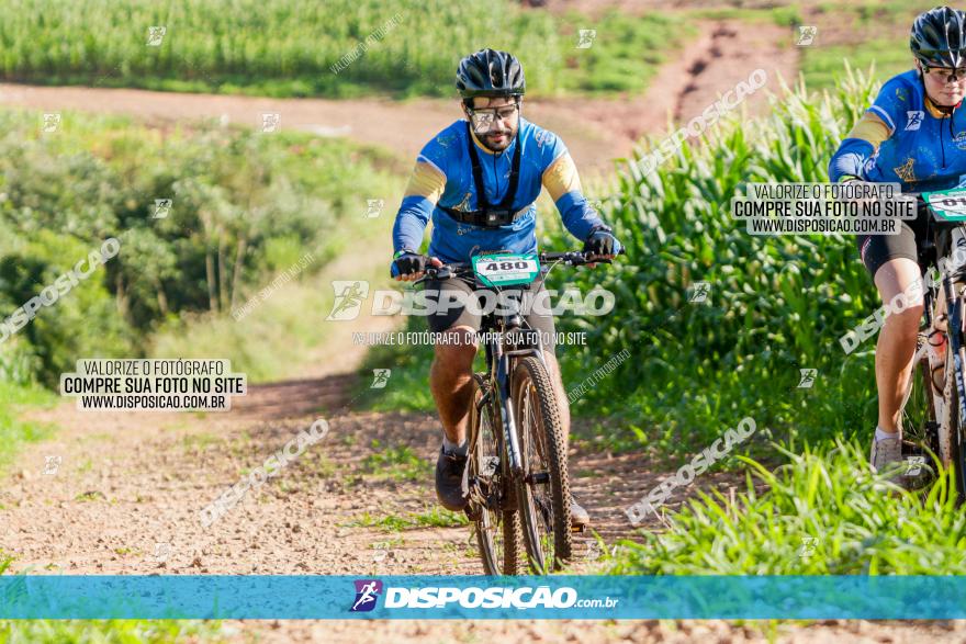 Circuito AEJ MTB 2023