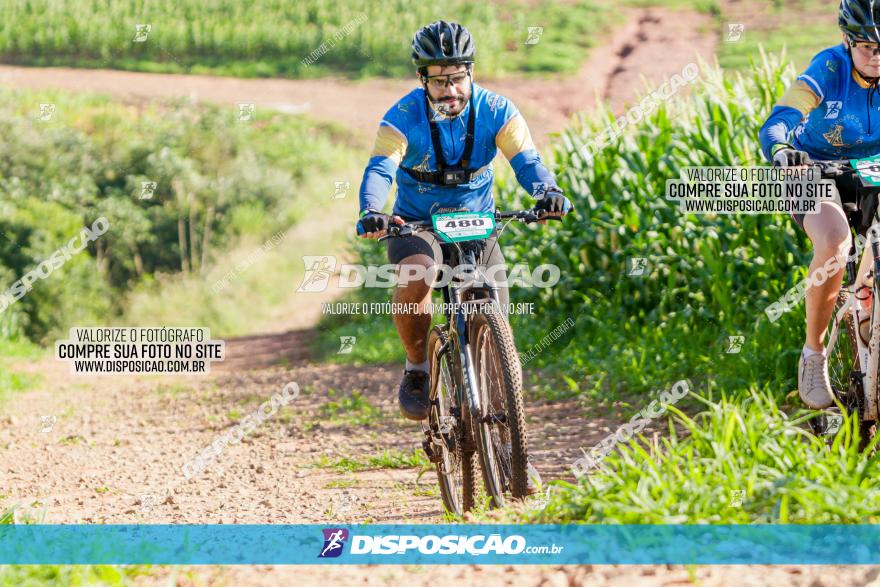 Circuito AEJ MTB 2023