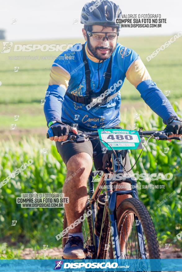 Circuito AEJ MTB 2023