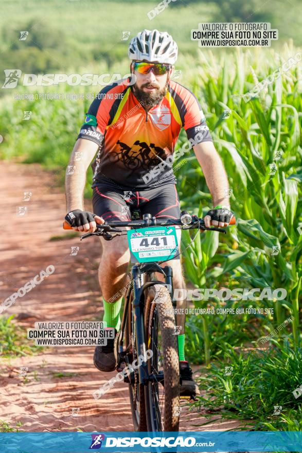 Circuito AEJ MTB 2023