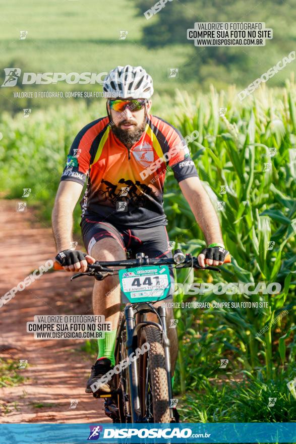 Circuito AEJ MTB 2023