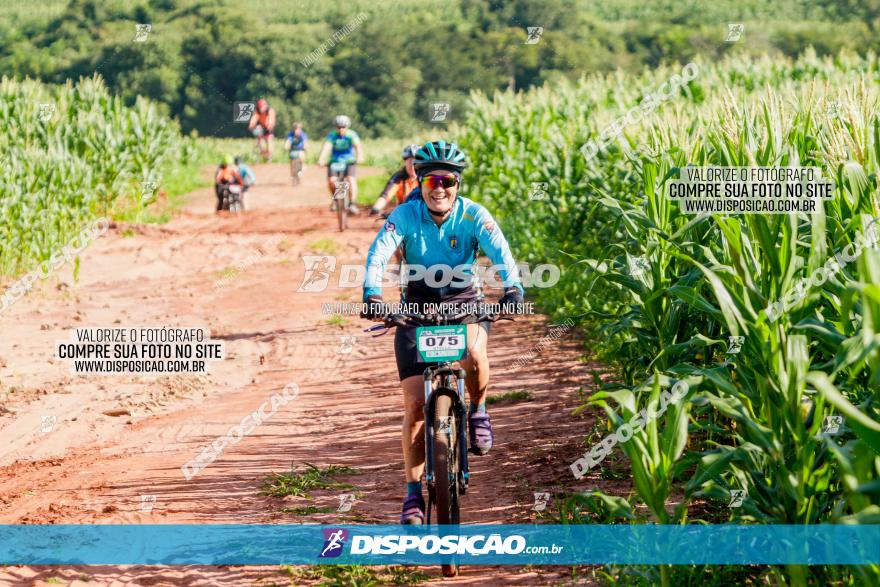 Circuito AEJ MTB 2023