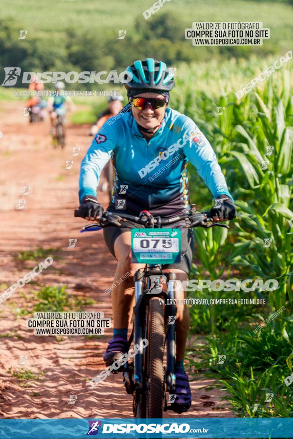 Circuito AEJ MTB 2023