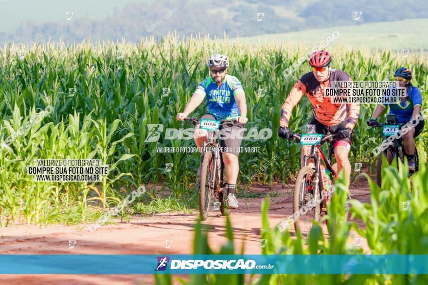 Circuito AEJ MTB 2023