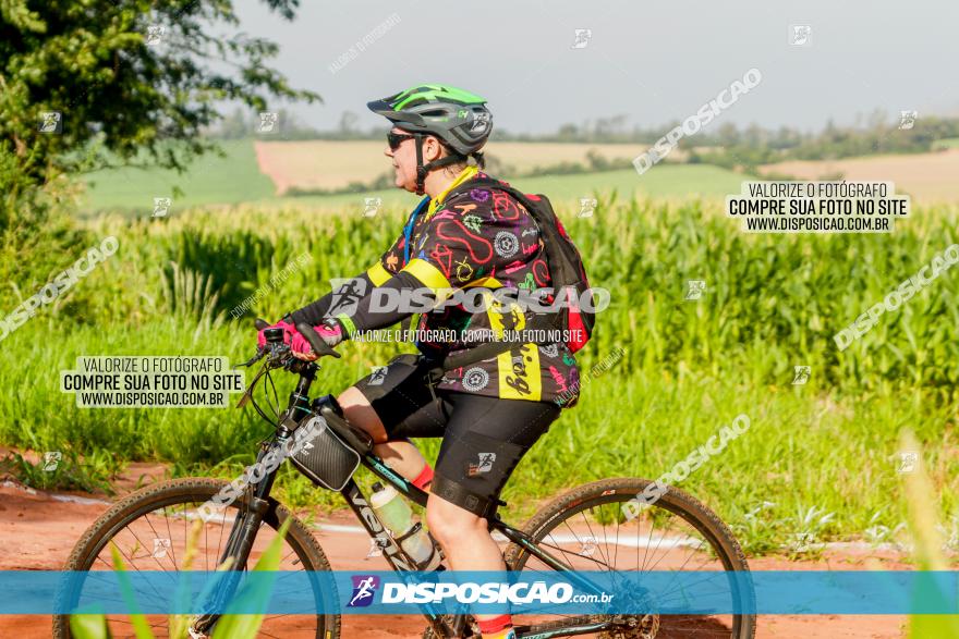 Circuito AEJ MTB 2023