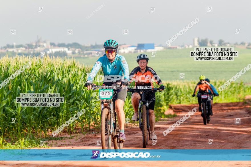 Circuito AEJ MTB 2023