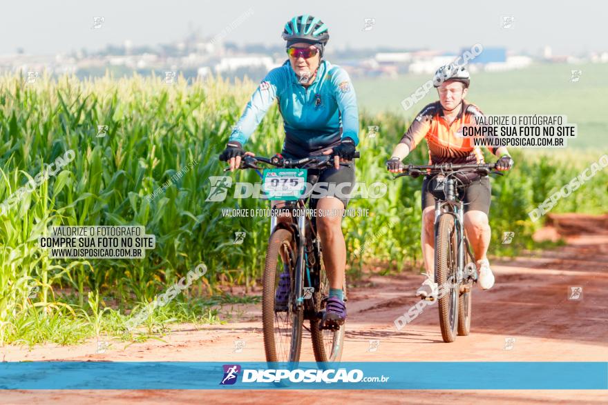 Circuito AEJ MTB 2023