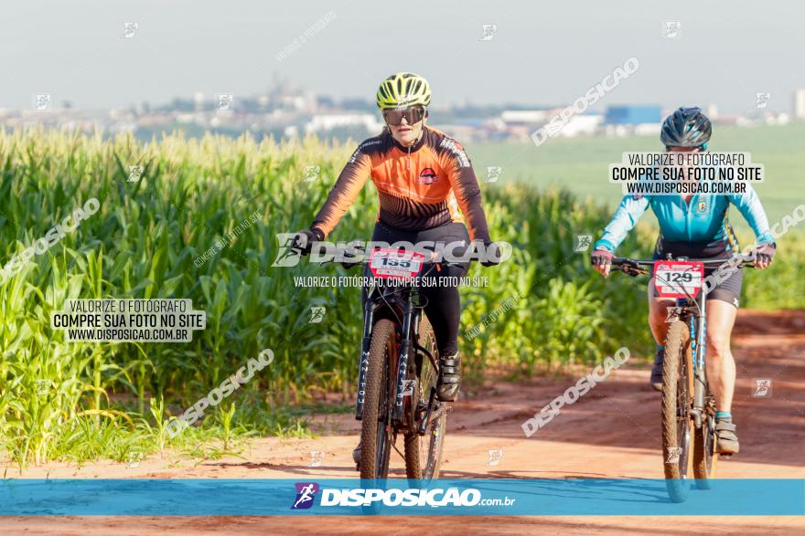 Circuito AEJ MTB 2023