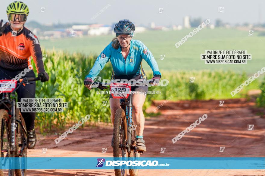 Circuito AEJ MTB 2023