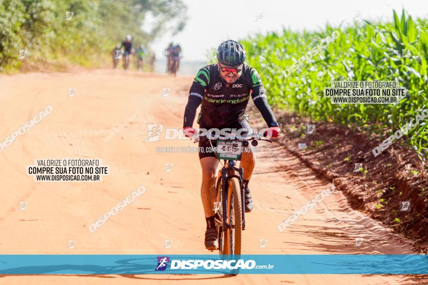 Circuito AEJ MTB 2023