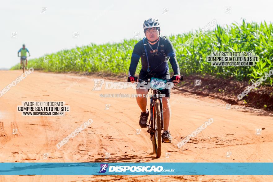 Circuito AEJ MTB 2023