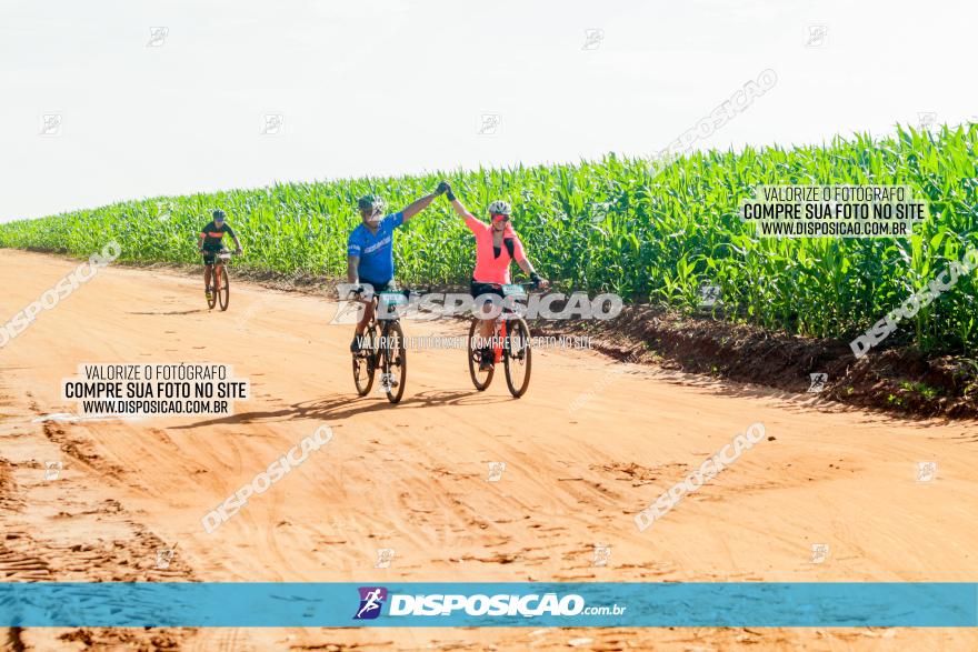 Circuito AEJ MTB 2023