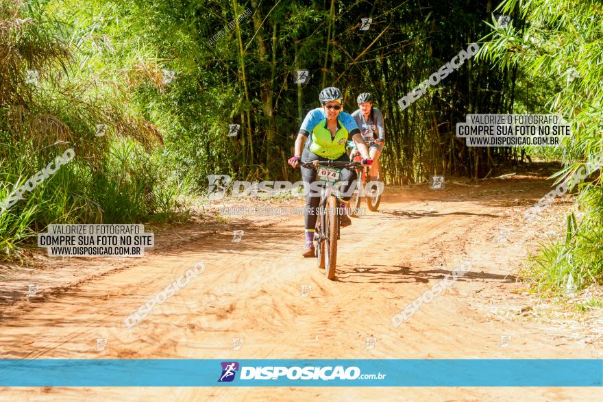 Circuito AEJ MTB 2023