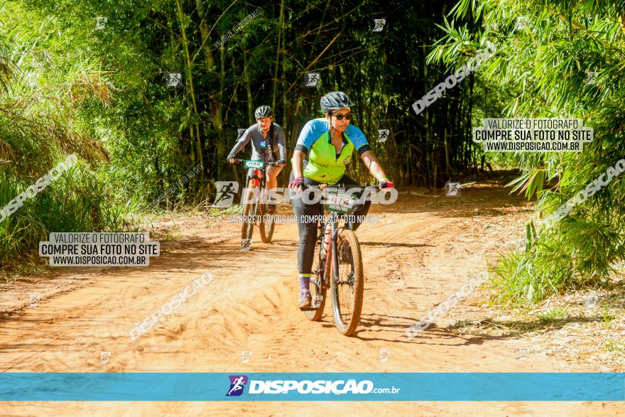 Circuito AEJ MTB 2023