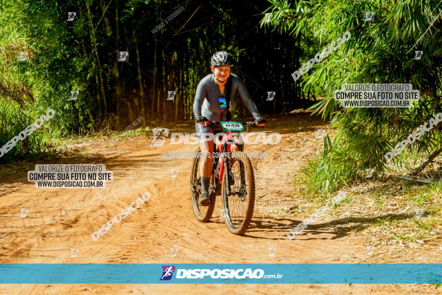 Circuito AEJ MTB 2023