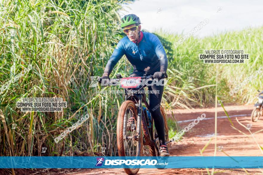 Circuito AEJ MTB 2023