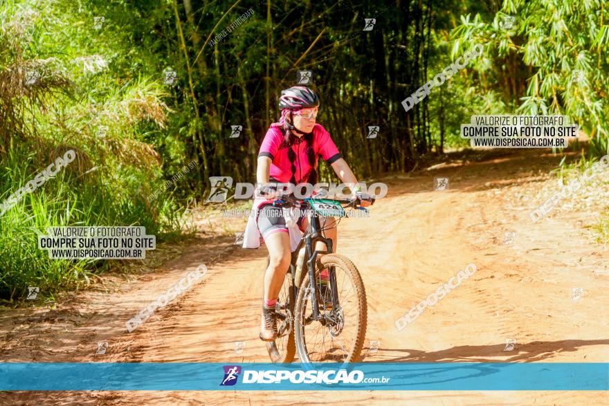 Circuito AEJ MTB 2023