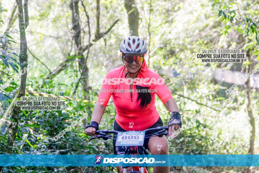 Circuito AEJ MTB 2023