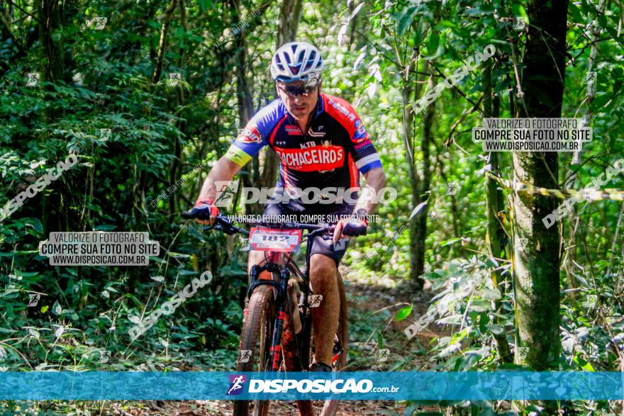 Circuito AEJ MTB 2023