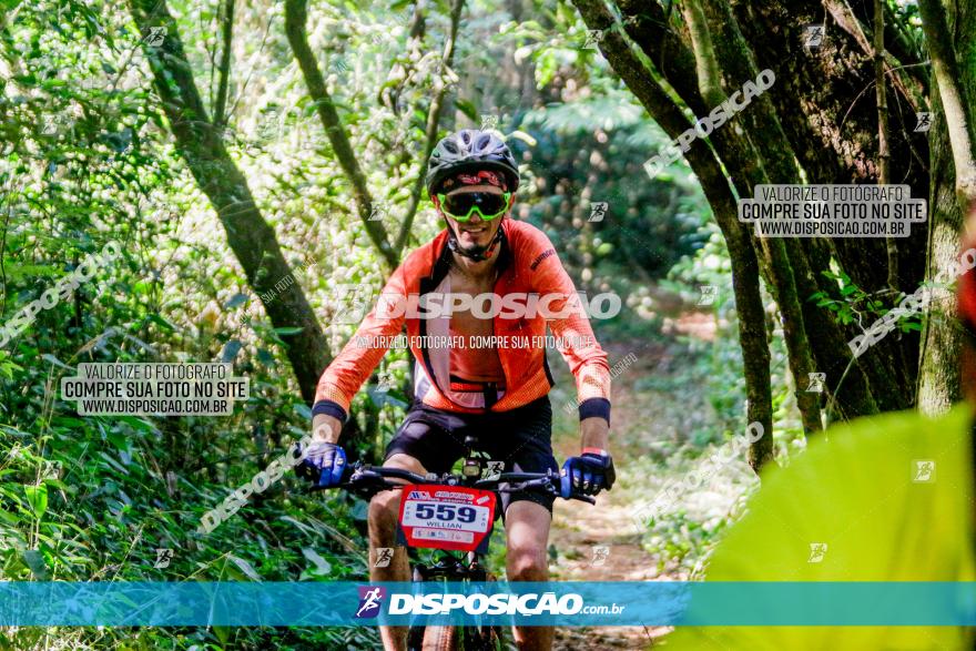 Circuito AEJ MTB 2023