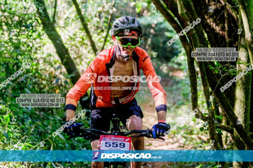 Circuito AEJ MTB 2023