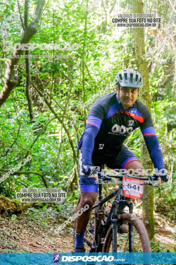 Circuito AEJ MTB 2023