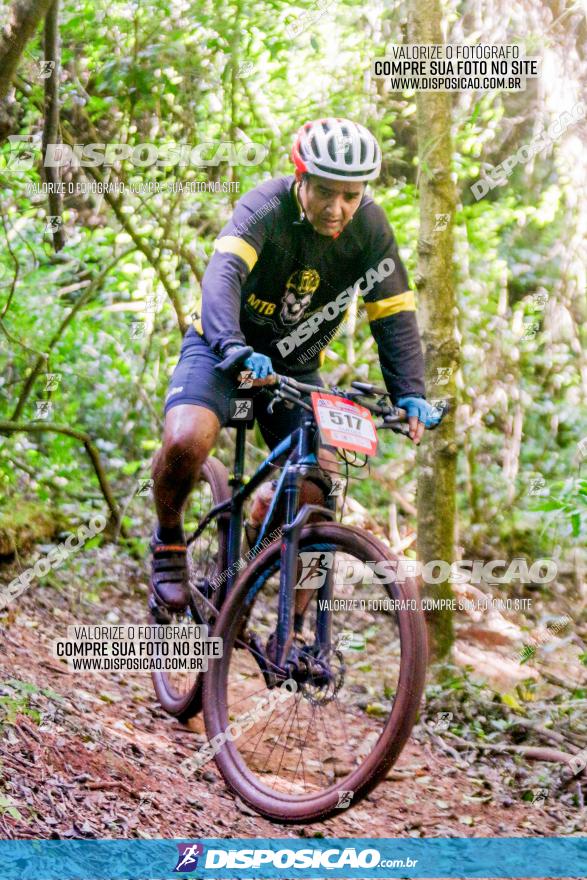 Circuito AEJ MTB 2023