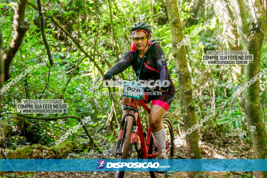 Circuito AEJ MTB 2023