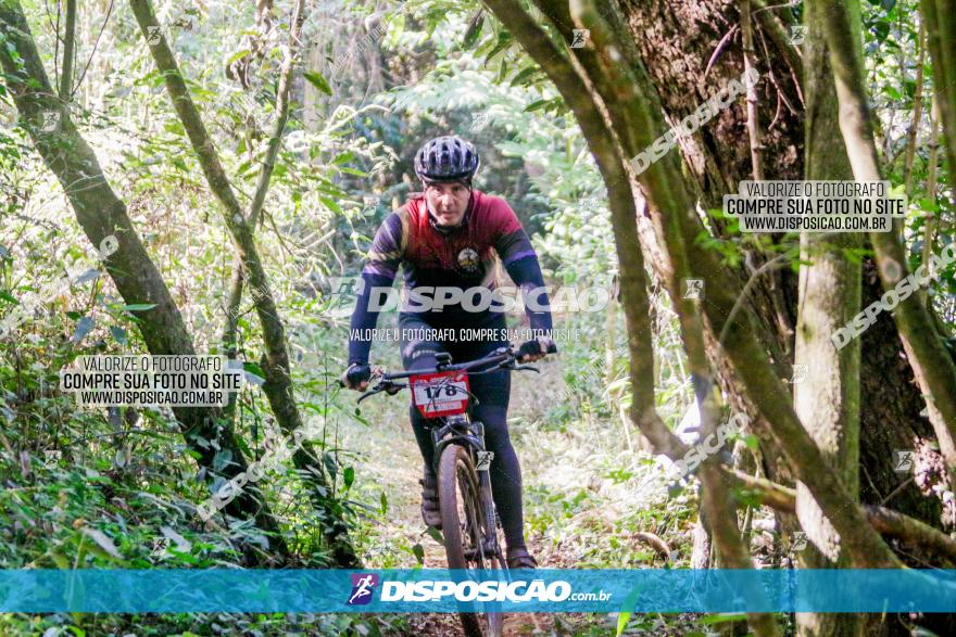 Circuito AEJ MTB 2023