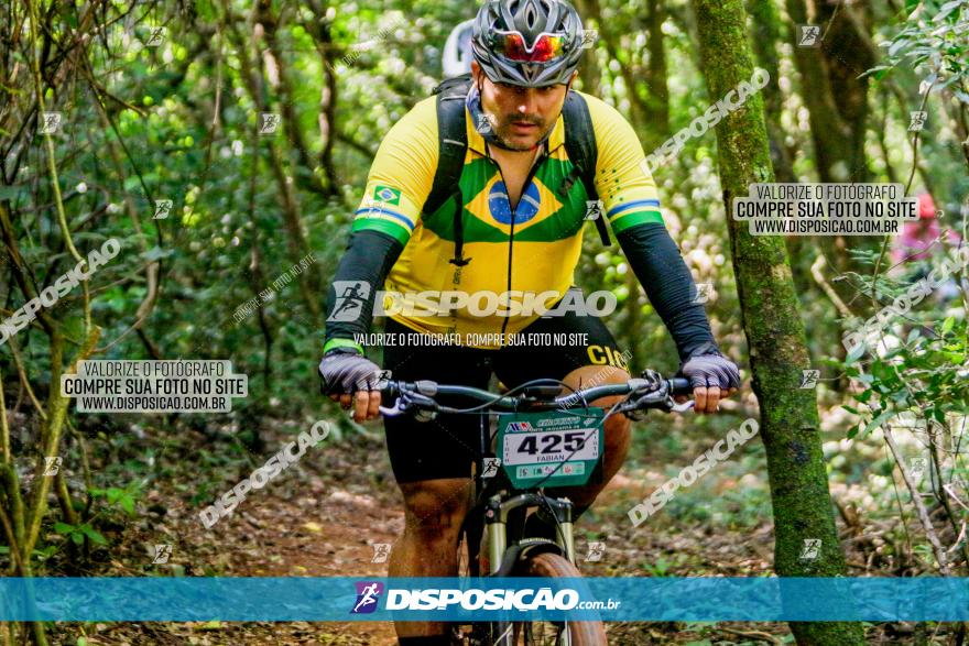 Circuito AEJ MTB 2023