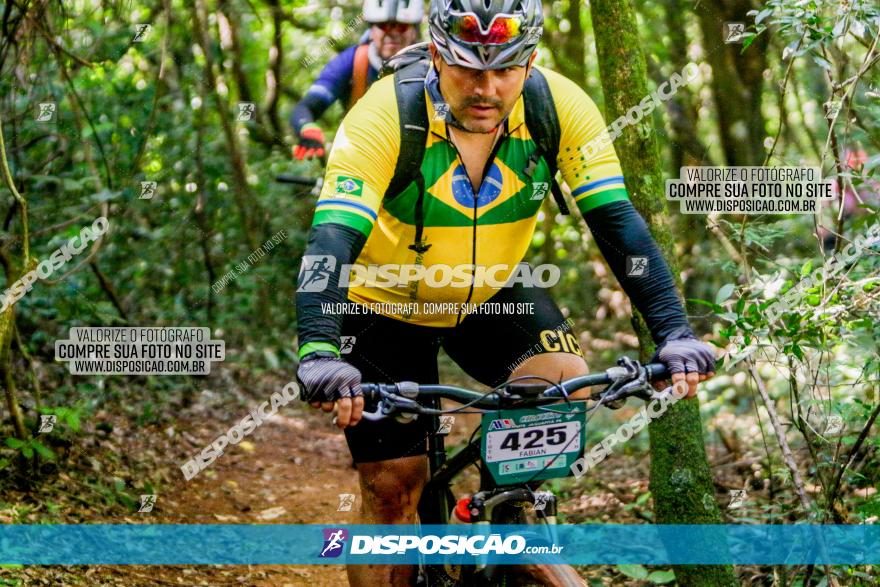 Circuito AEJ MTB 2023