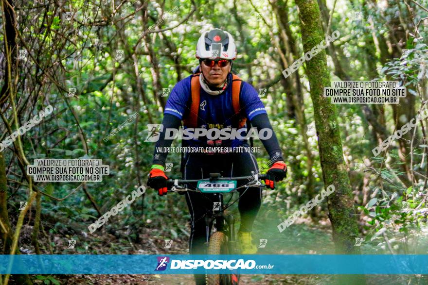 Circuito AEJ MTB 2023