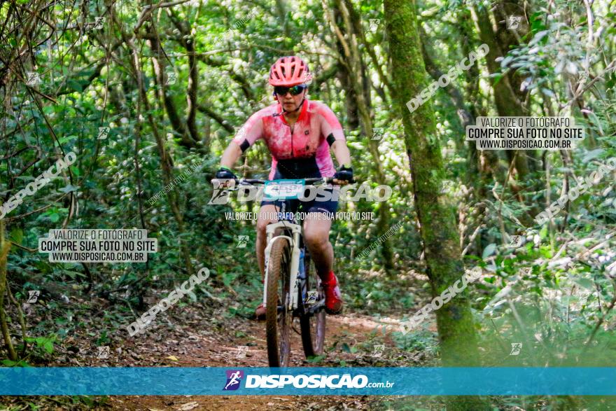 Circuito AEJ MTB 2023