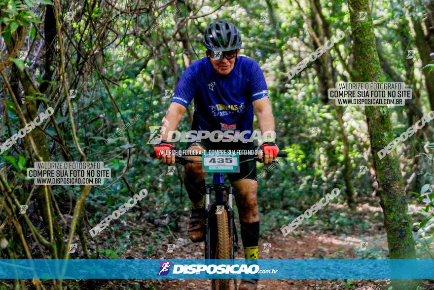 Circuito AEJ MTB 2023